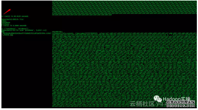 c8508176c4481fd4a076cd949461c8ceb248252f