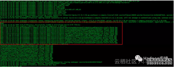 13015e7ef2e064be38d45c2c6bf8852fe4c08056