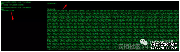 ec43454d107500a78c0127c278650b314ad9b43c