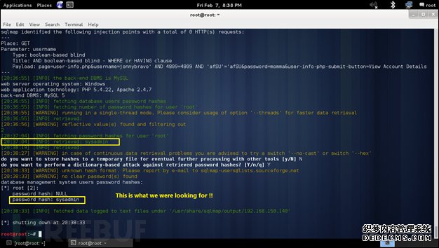 Web应用手工渗透测试——用SQLMap进行SQL盲注测试