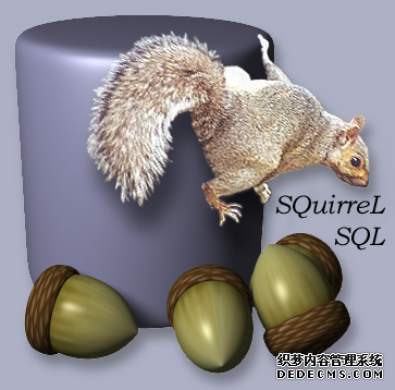 SQuirreL SQL Client 