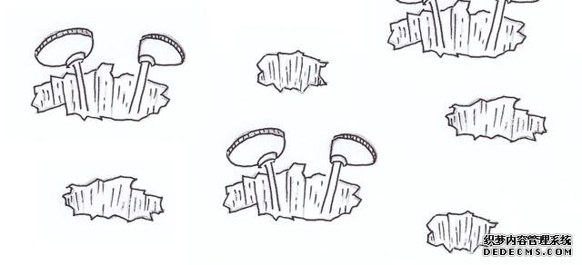 不要这样写SQL 改掉这些坏习惯