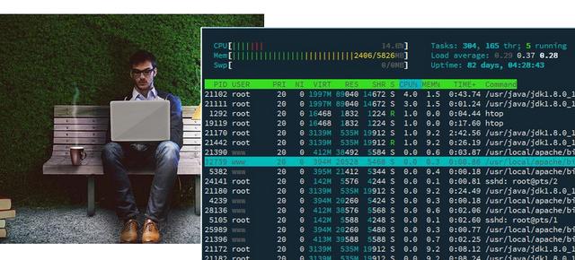 自定义构建交互式SSH应用程序,以Python为例
